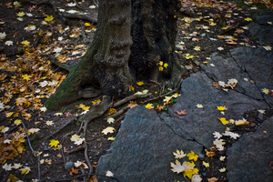 Uber Exif Photo